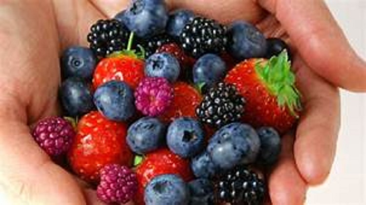 5 Healthy Foods High in Antioxidants