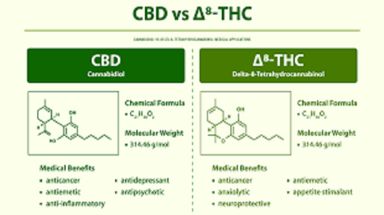 Delta-eight Tetrahydrocannabinol – Delta-eight THC: 5 Things to Know