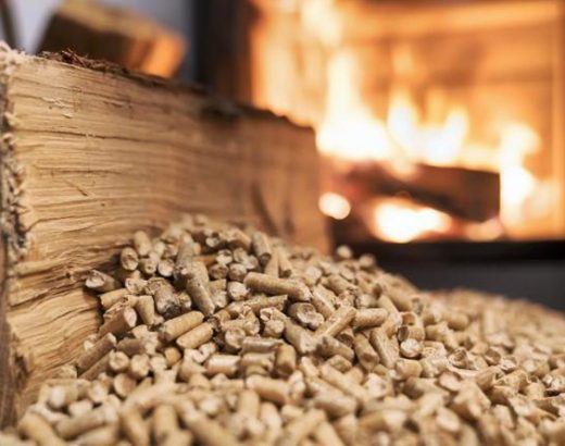 Wood Fuel Price Rise: UK Energy Crisis to Reach Wood Fuels