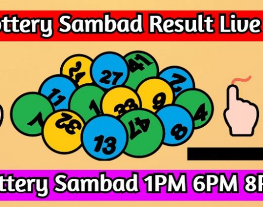 Indian Lottery Sambad: Nagaland State Lottery