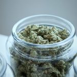 An Introductory Guide to Choosing the Right Marijuana Dispensary