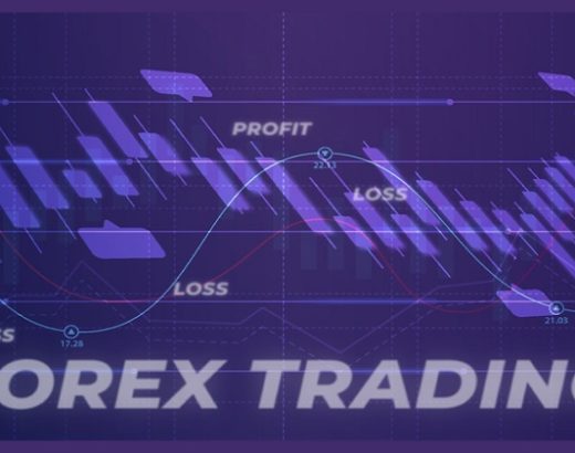 Forex Brokers: Top Best Forex Trading Platforms