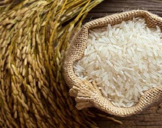 How to Find the Right Wholesale Rice Suppliers For Your Business?