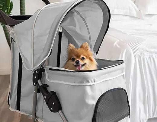 Taking Your Dog Everywhere You Go: The Benefits Of A Dog Stroller