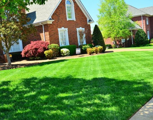 4 Things To Look For in Valuable Lawn Care Packages