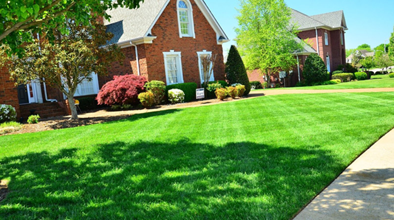 4 Things To Look For in Valuable Lawn Care Packages