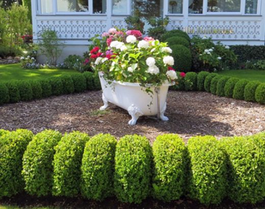 5 Front Porch Topiary Ideas to Easily Elevate Your Home