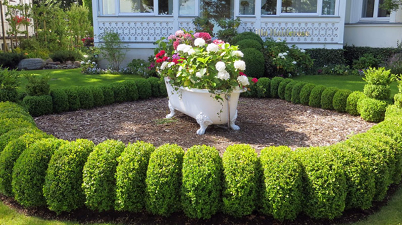 5 Front Porch Topiary Ideas to Easily Elevate Your Home