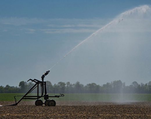 5 Reasons to Add an Irrigation System to Your Yard