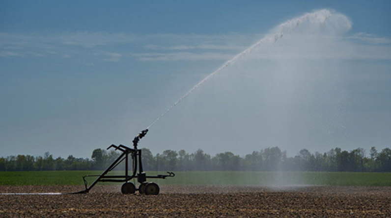 5 Reasons to Add an Irrigation System to Your Yard