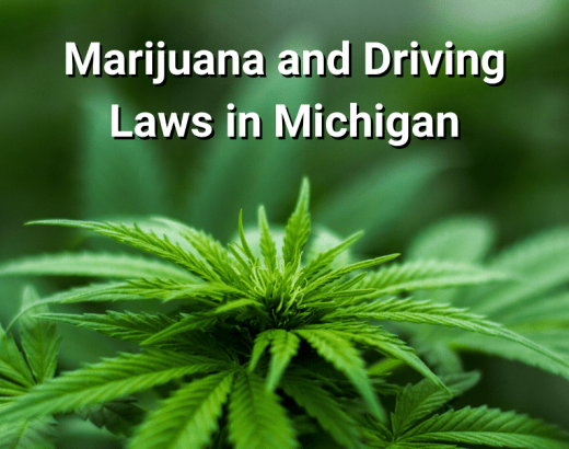 Weed Laws in Michigan: Everything You Need to Know