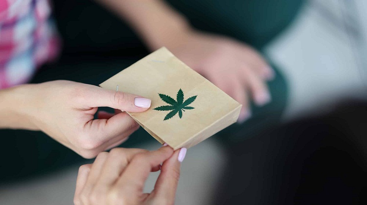 Expert Weed Delivery Services You Can Trust