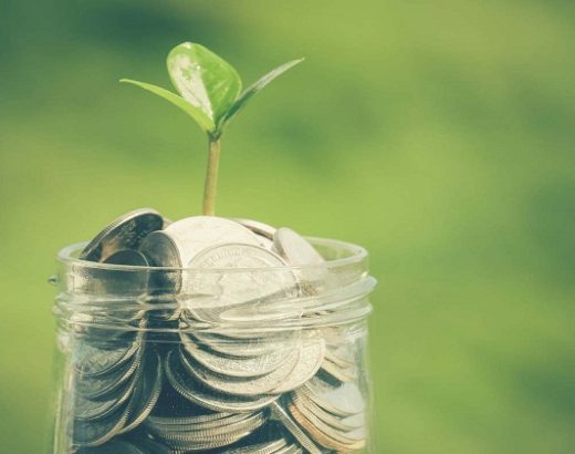 How Sustainable Investors Find Ethical Investment Funds