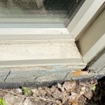 How to Keep Pests Out of Your Attic