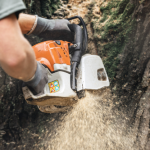 4 Best Questions to Ask a Tree Removal Service