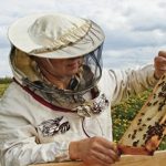 How to Start Your Own Beehive