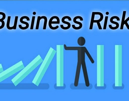 What are the 5 Methods of Dealing with Business Risk?