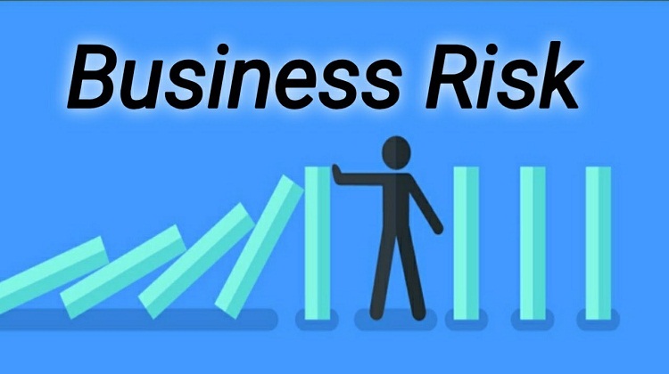 What are the 5 Methods of Dealing with Business Risk?