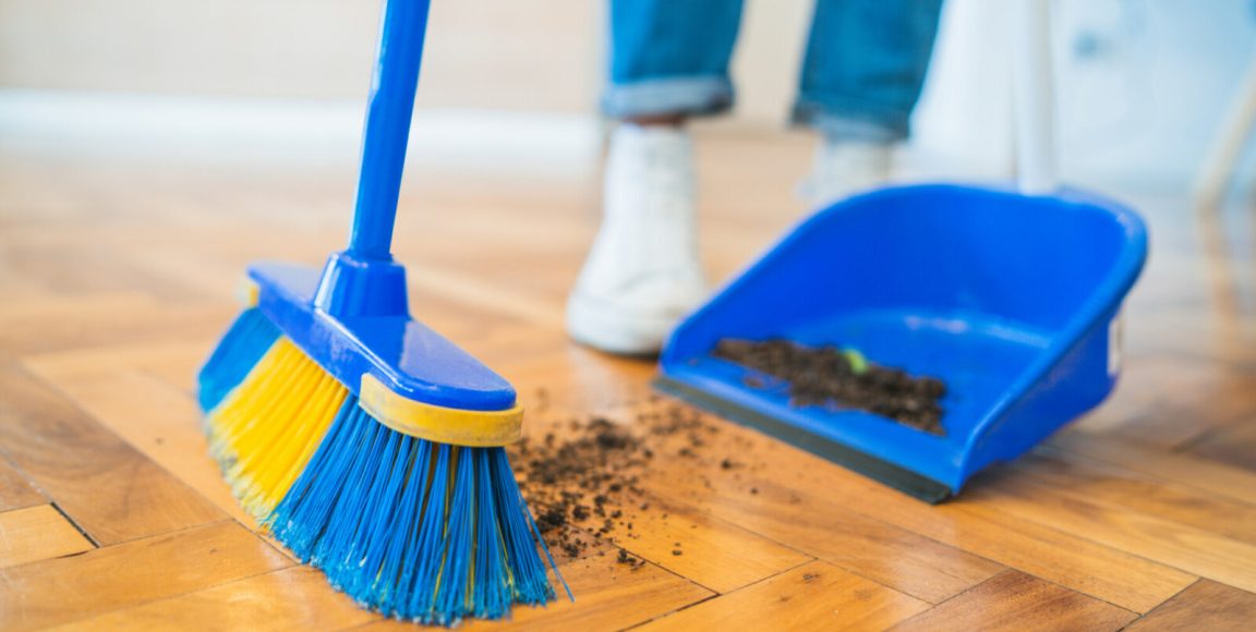 What Do House Cleaning Services Offer Homeowners?
