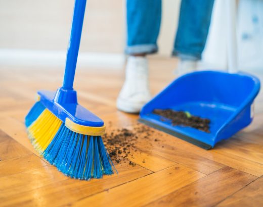 What Do House Cleaning Services Offer Homeowners?
