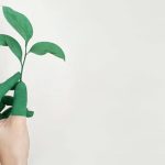 What Is Greenwashing And How To Avoid It?