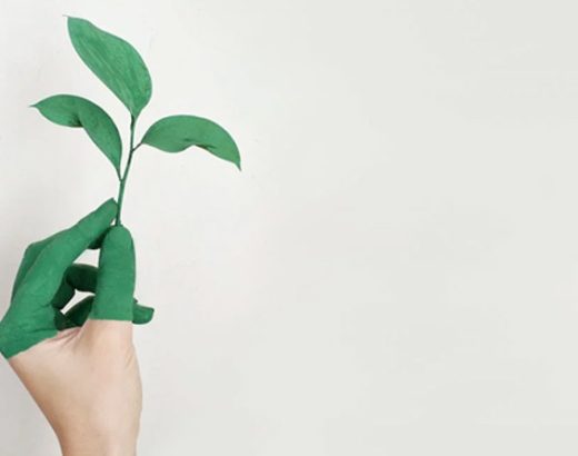 What Is Greenwashing And How To Avoid It?