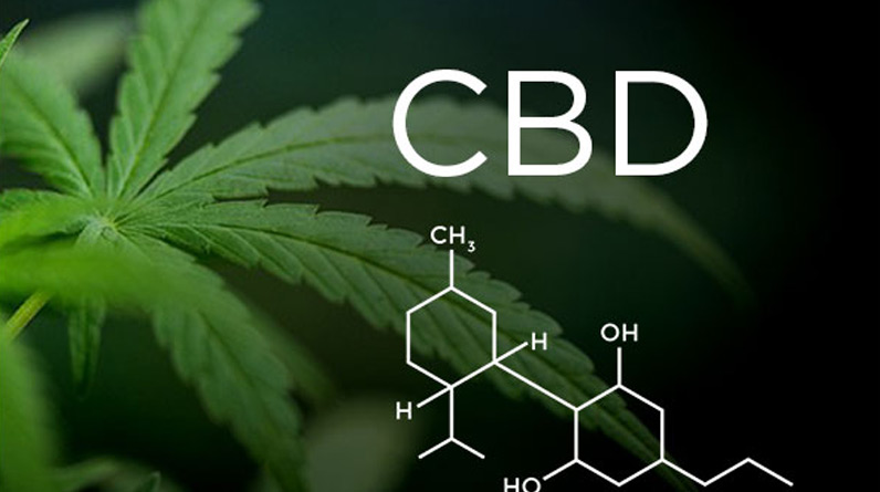 CBDV Vs. THC: How They Differ in Impact and Benefits
