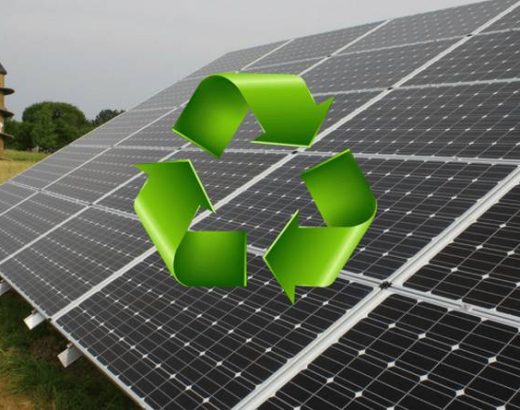 Go Green, Save Green: How Solar Panels Can Cut Your Energy Costs