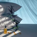 Cannabis Subscription Box: What Is It and Why You Need One