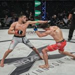 All the Action with Cracked MMA Streams
