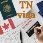 Here’s What You Need To Know About TN Visas