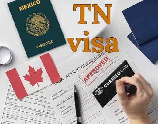 Here’s What You Need To Know About TN Visas