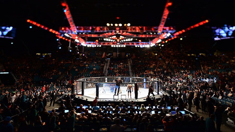 Don’t Miss a Fight: Watch Latest MMA Streams on Reddit
