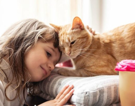 Pet Insurance: The Easiest Way to Save Money While Taking Care of Your Pet