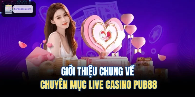 Giới thiệu chung về chuyên mục live casino 8XBET