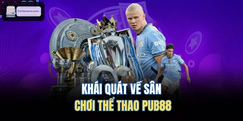 Khái quát về sân chơi thể thao 8XBET