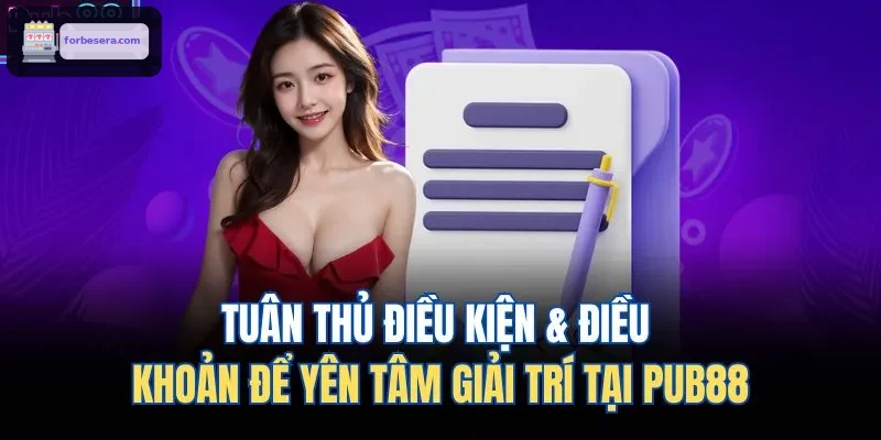 Tuân thủ điều kiện & điều khoản để yên tâm giải trí tại 8XBET